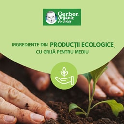 Gerber | Desert bio cu mango, kiwi si cocos 4x90g