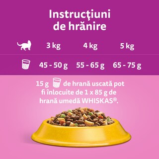 Whiskas | Hrana uscata pisici adulte, cu pui 300g