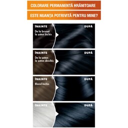 Garnier | Color Naturals | Vopsea par Negru albastrui 2.10