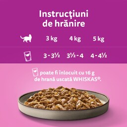 Whiskas | Casserole | Hrana umeda cu pui pentru pisici 85g