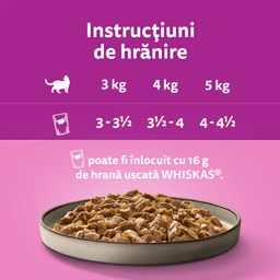 Whiskas | Casserole | Hrana umeda cu pui pentru pisici 85g
