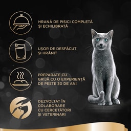 Sheba