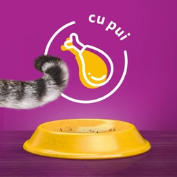 Whiskas | Hrana uscata cu pui pentru pisici sterilizate 1.4kg
