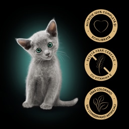 Sheba | Hrana umeda pentru pisici junioare, selectie mixta in sos 4x85g