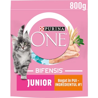 Purina One | Hrana uscata cu pui pentru puii de pisica 800g