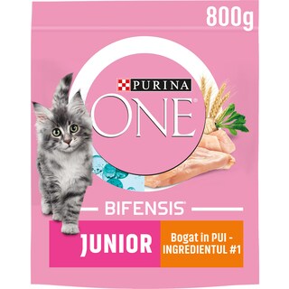 Purina One | Hrana uscata cu pui pentru puii de pisica 800g