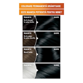 Garnier | Color Naturals | Vopsea pentru par 1 Negru