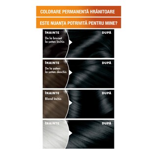 Garnier | Color Naturals | Vopsea pentru par 1 Negru