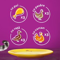 Whiskas | Hrana umeda petnru pisici, cu pasare in sos 12x85g