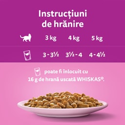 Whiskas | Hrana umeda pentru pisici cu somon in sos 85g
