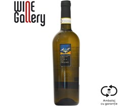 Feudi Di San Gregorio | Vin San Gregorio 0.75L