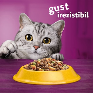 Whiskas | Hrana uscata cu pui pentru pisici sterilizate 1.4kg