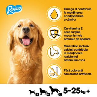 Pedigree | Rodeo | Hrana complementara cu vita pentru caini adulti 70g