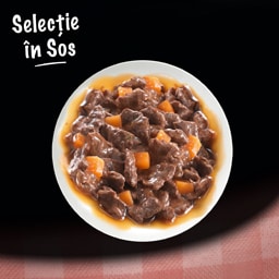 Cesar | Hrana completa pentru caini adulti selectii cu pui si legume si vita si morcovi 4x100g