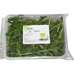 Rucola bio  100g