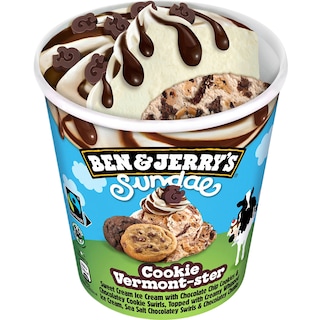 Ben&Jerry's | Inghetata Sundae Cookie Vermont-ster 324g