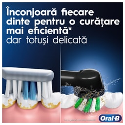 Oral-B | Periuta de dinti electrica Vitality Pro