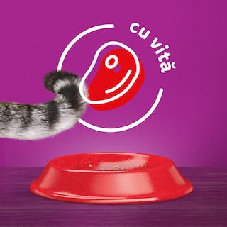 Whiskas | Hrana uscata pentru pisici, cu vita 300g