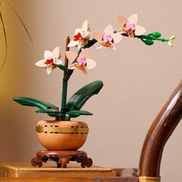 Lego | Botanicals | Set de constructie Botanicals Mini orhidee 10343
