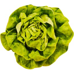 Salata verde, import