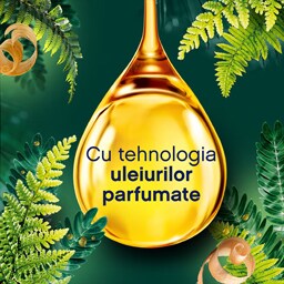 Lenor | Balsam de rufe Cedar Wood & Pine Tree, 48 spalari 1.2L
