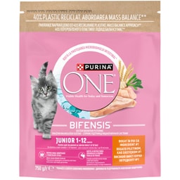 Purina One | Hrana uscata pentru pui de pisica, cu pui si cereale integrale 750g