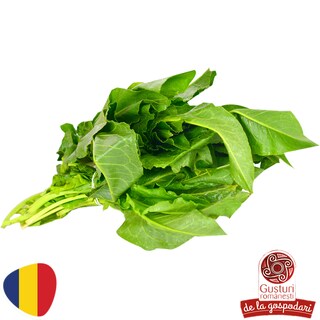 Gusturi romanesti | Stevie, legatura