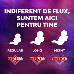 Libresse | Absorbante Maxi Goodnight, 10 bucati