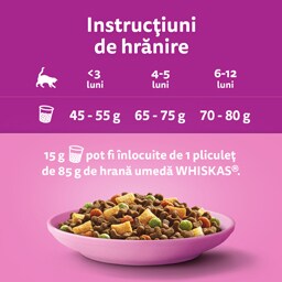 Whiskas | Hrana uscata pentru pui de pisica, cu pui 1.4kg