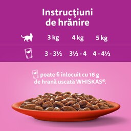 Whiskas | Hrana umeda pisici Mese Clasice in sos 12x85g