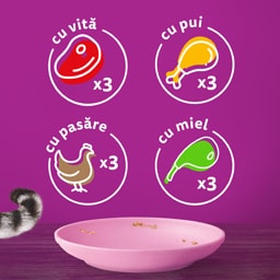 Whiskas | Hrana umeda pentru pui de pisica, Mese Clasice in sos 12x85g