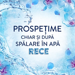 Lenor | Balsam pentru rufe Spring Awakening, 71 spalari 1.491L