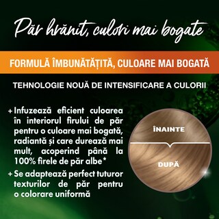 Garnier | Color Naturals | Vopsea par blond 7
