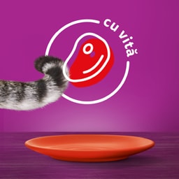 Whiskas | Hrana umeda pentru pisici cu vita in sos 85g