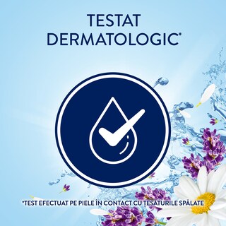 Lenor | Balsam pentru rufe Lavanda si musetel, 71 spalari 1.491L