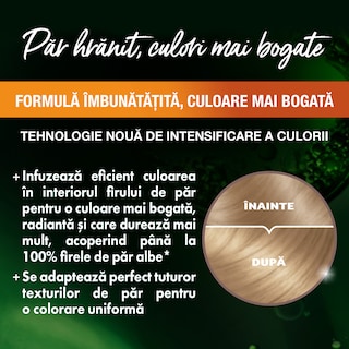 Garnier | Color Naturals | Vopsea par blond foarte deschis cenusiu 9.1