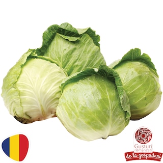 Gusturi romanesti | Varza alba