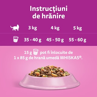 Whiskas | Hrana uscata pentru pisici sterilizate, cu somon 1.4kg