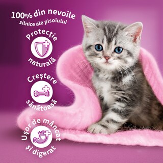 Whiskas | Hrana uscata pentru pui de pisica, cu pui 1.4kg