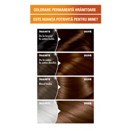 Garnier | Color Naturals | Vopsea pentru par 4.3 Saten Auriu Natural