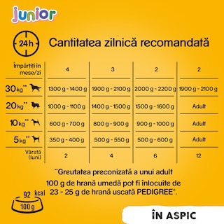 Pedigree | Hrana umeda cu pui, pentru caini Junior 400g