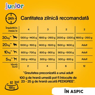 Pedigree | Hrana umeda cu pui, pentru caini Junior 400g