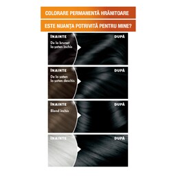 Garnier | Color Naturals | Vopsea pentru par 1 Negru