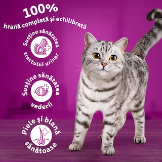 Whiskas | Hrana uscata pentru pisici, cu vita 300g