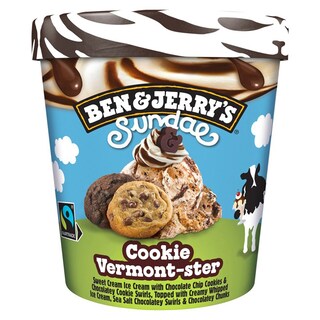 Ben&Jerry's | Inghetata Sundae Cookie Vermont-ster 324g