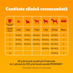 Pedigree | Hrana uscata pentru caini Junior mini, cu pui si legume 1.4kg