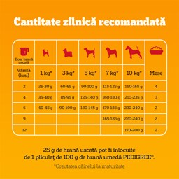 Pedigree | Hrana uscata pentru caini Junior mini, cu pui si legume 1.4kg