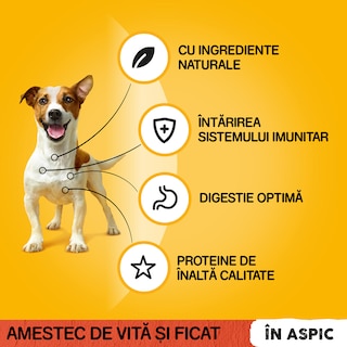 Pedigree | Hrana completa pentru caini adulti cu vita si ficat 100g