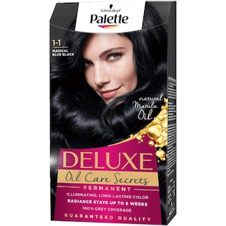 Palette | Deluxe | Vopsea de par Negru albastrui 1-1