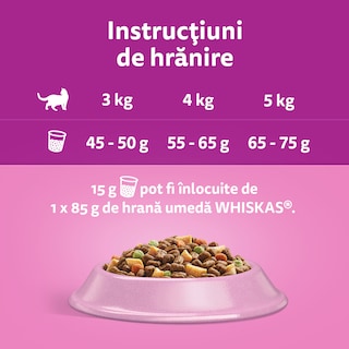 Whiskas | Hrana uscata pentru pisici cu somon 1.4kg